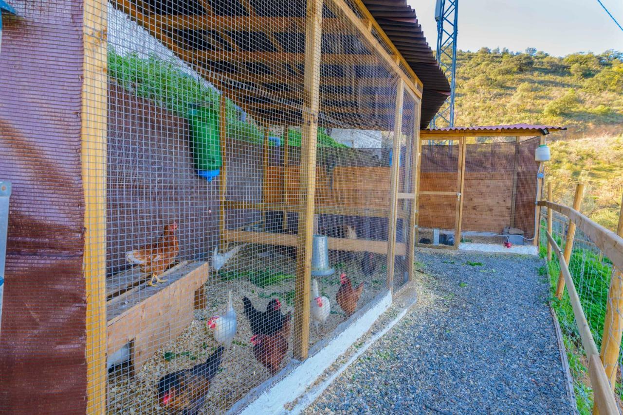Complejo Rural El Mirador Pensionat Málaga Eksteriør billede